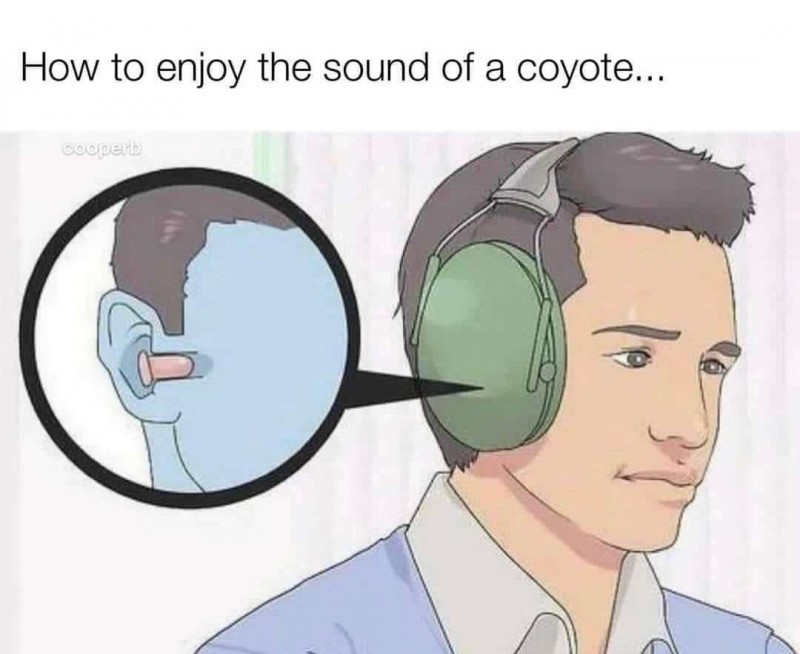 COYOTE.jpg